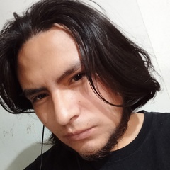 Luis Enrique Castro Moreno, 25 лет, Tlaxcala