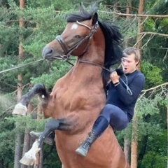 Дмитрий Михайленко, Санкт-Петербург