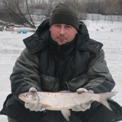 Андрей Кутовой, 47 лет, Москва