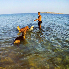 Mohamed Mohsen, Sharm el-Sheikh