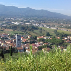 Zaza Tasoyti, 50 лет, Lucca