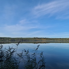 Катя Рудацкая, Кострома