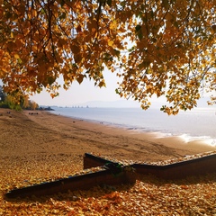 Александр Нардюжев, Самара