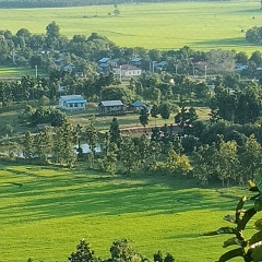 Daw-Myint-Myint Aye, 52 года, Mandalay