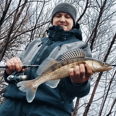 Алексей Байков, 36 лет, Раменское