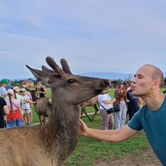 Сергей Кравцов, Улан-Удэ