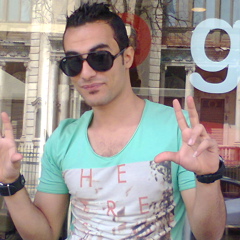 Hisham Hussein, 35 лет, Cairo