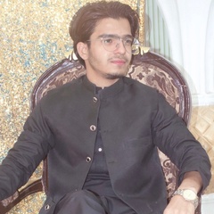 Junaid Raza-Maher, 20 лет, Karachi