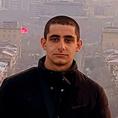 Albert Hovhannisyan, 24 года, Ереван