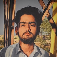 Shazaib Basharat, 20 лет, Rawalpindi