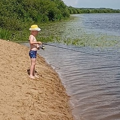 Алексей Ерофеев, Нижний Новгород