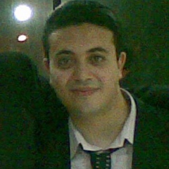 Ahmed Gohary, 38 лет, Giza