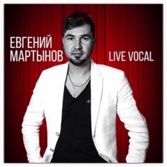 Евгений Мартынов, 39 лет, Новокузнецк