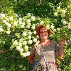 Светлана Егорушкина, Санкт-Петербург