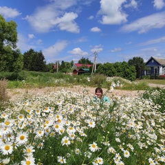 Анастасия Петрова, Москва