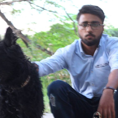 Mohsin Aziz, 28 лет, Islamabad