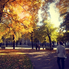 Дмитрий Киселёв, 31 год, Helsinki