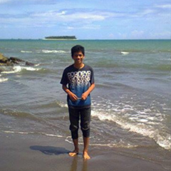 Muhammad Alfiz, 27 лет, Pekanbaru