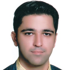 Amirreza Talaei, 41 год, Tabriz