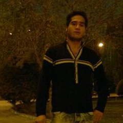 Masoud Hashemi, 34 года, Tehran