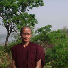 Ven Tayzaniya, 37 лет, Mandalay