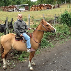 Enrique Octavio, Santiago