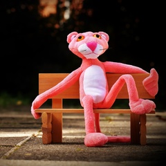 Pink Panther, Chiang Mai