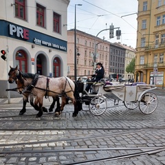 Джамбул Кусраев, 48 лет, Praha