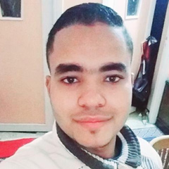 Ahmed Shawky, 27 лет, Damanhur