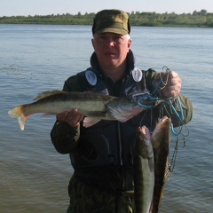 Андрей Солодянкин, 53 года, Киров