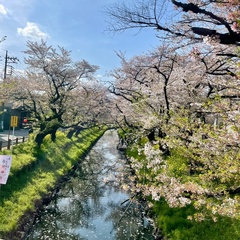 イワン テレホフ, Tokyo