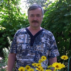 Сергей Марков, Воронеж