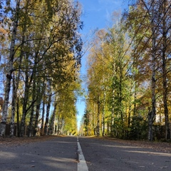 Виктория Стужина, Санкт-Петербург