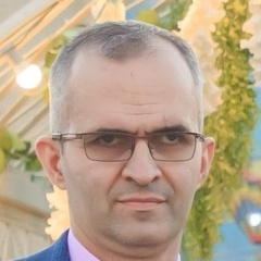 Vladimir Barseghyan, 40 лет, Санкт-Петербург