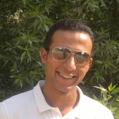 Mohamed Badr, 37 лет, Cairo