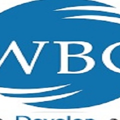 Wbc Seoworker, 54 года, Chennai