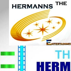 Hermanns Entertainment, 31 год, Buea