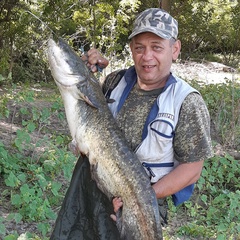 Эдуард Кутдусов, 56 лет, Астрахань