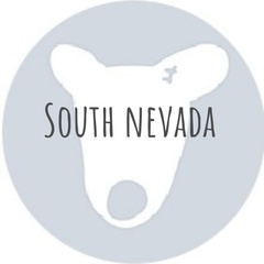 South Nevada, 58 лет