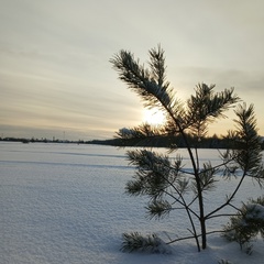 Зоя Агеева, Тарногский Городок