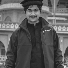 Talha Yousafzai, 30 лет, Peshawar