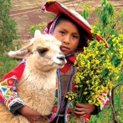 Валерий Гаруда, 50 лет, Cuzco