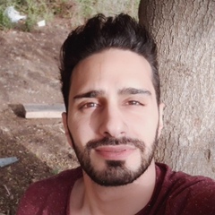 Walid Ayesh, 34 года, Nablus