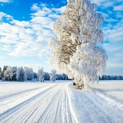 Оксана Васильева, Якутск