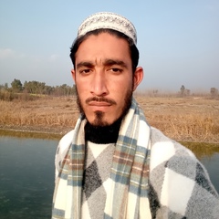 Muhammad Suleman, 33 года, Peshawar