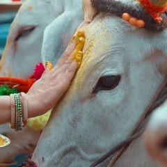 Abhishek Sharma, Hyderabad