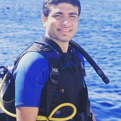 Ahmed Samy, 29 лет, Hurghada