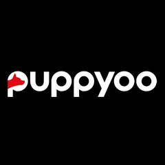 Puppy Appliance, 25 лет, Beijing