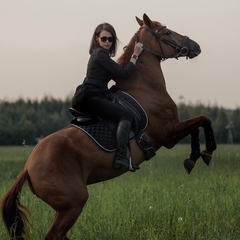 Анна Переведенцева, Санкт-Петербург