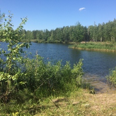 Роман Строганов, Нижний Новгород